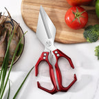 Stainless Steel Diamond Scissors