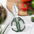 Stainless Steel Diamond Scissors